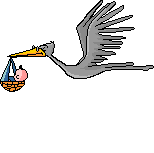 FlyingStork.GIF (8494 bytes)